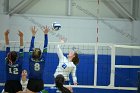 VB vs Salve  Wheaton Women’s Volleyball vs Salve Regina University. : volleyball